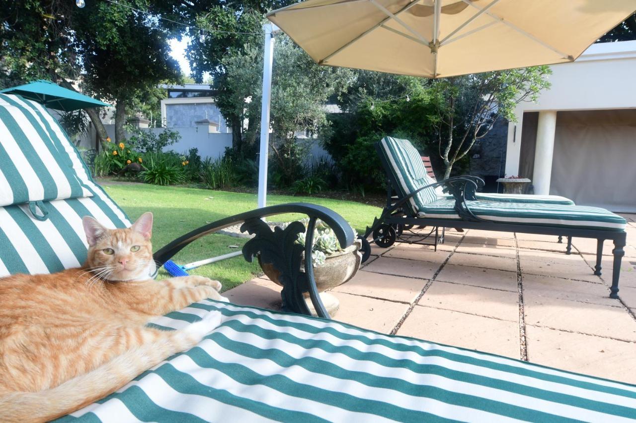Highgrove Guesthouse Йоханесбург Екстериор снимка